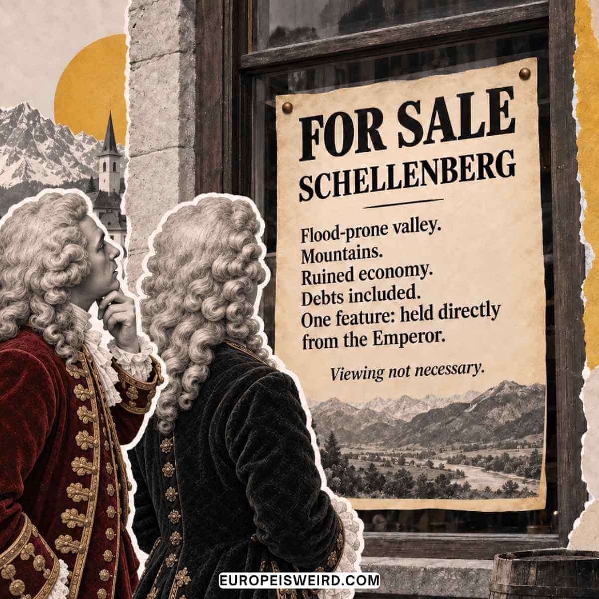 illustrated for sale schellenberg listing in window